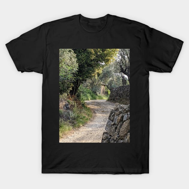 Country Road T-Shirt by aeolia